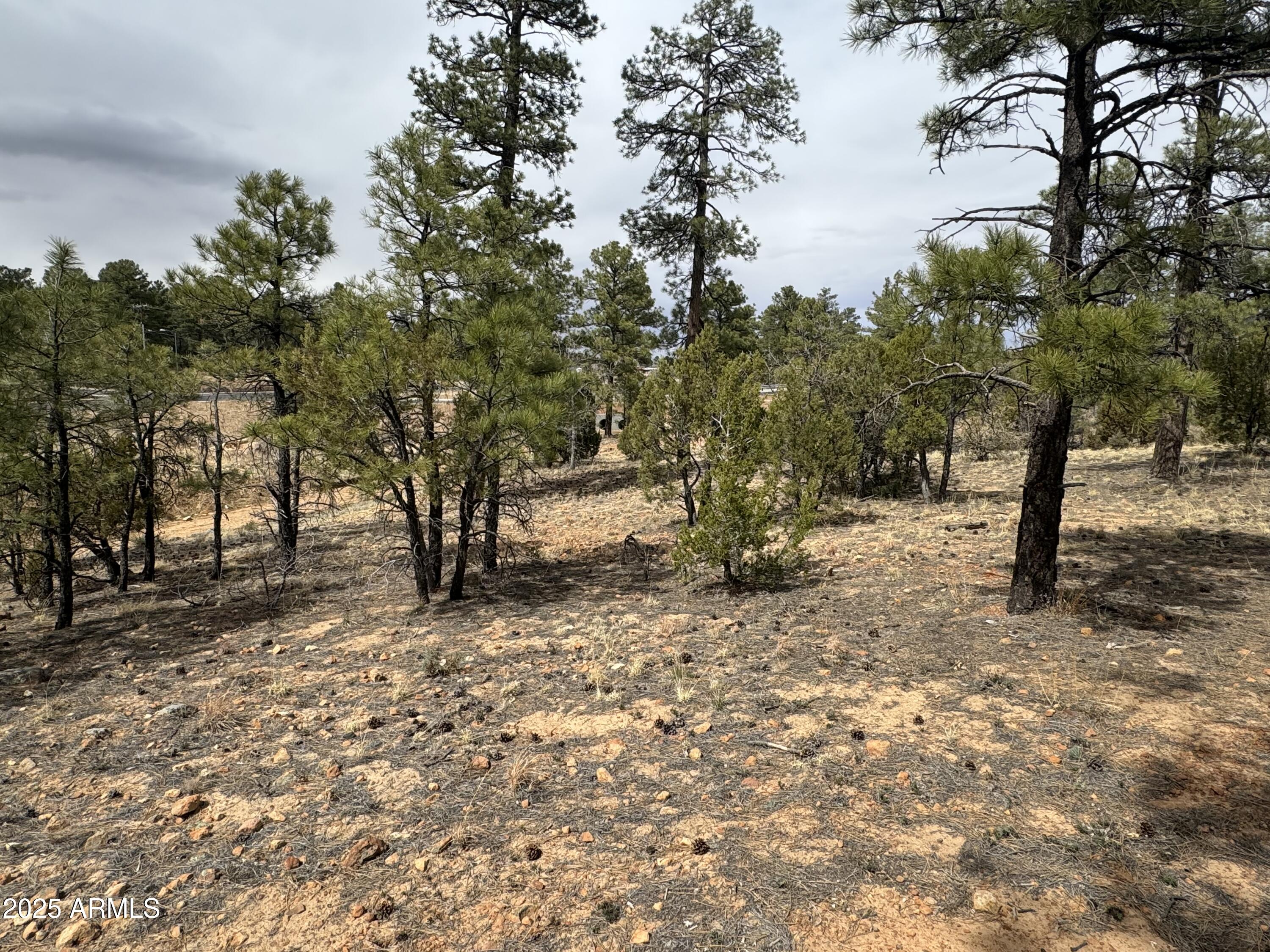 40 Timber Ridge Loop, Unit 40 Show Low, AZ 85901 - Photo 7 of 20 IMG_7863