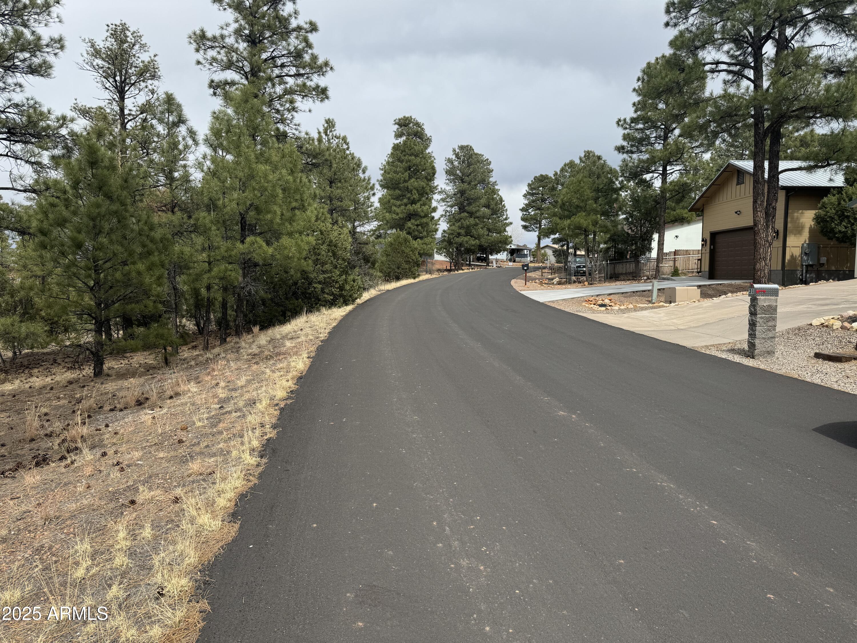 40 Timber Ridge Loop, Unit 40 Show Low, AZ 85901 - Photo 9 of 20 IMG_7865