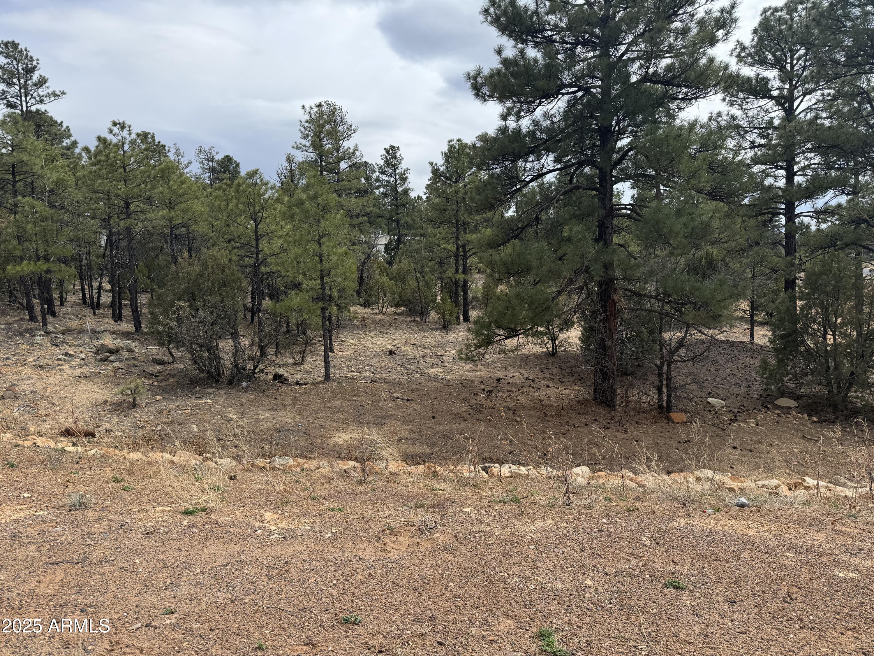40 Timber Ridge Loop, Unit 40 Show Low, AZ 85901 - Photo 10 of 20 IMG_7866