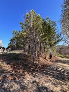 0 Sugar Maple Road Murphy, NC 28906 - Photo 6 of 7