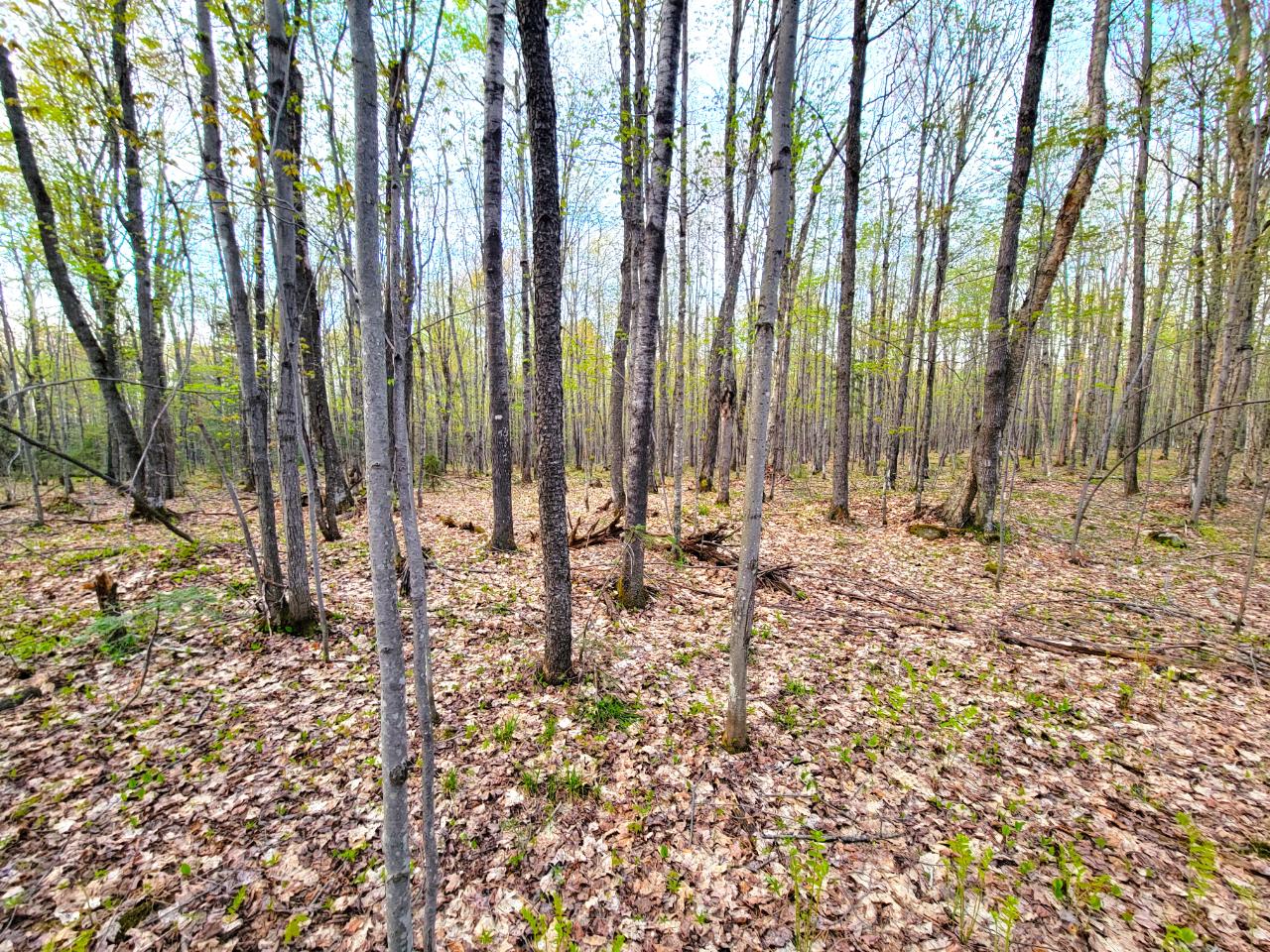 Off Langford Lake Road, Unit 10 ACRES Rochester, MI 48309 - Photo 7 of 9 Gallery Image 7