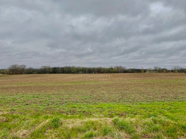 None-- Sheets Road Argenta, IL 62501 - Photo 1 of 3 a view of a lake view