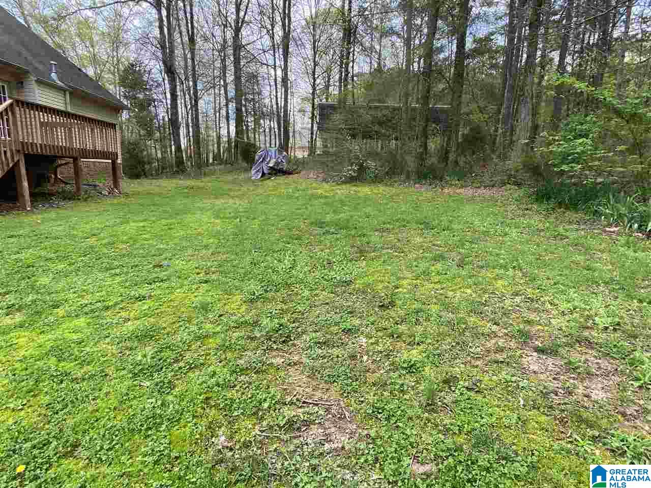 215 Meadows Drive Springville, AL 35146 - Photo 34 of 37