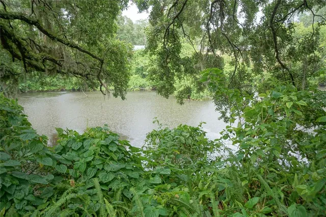 $2,395 | 1424 East Park Circle, Tampa, FL 33604