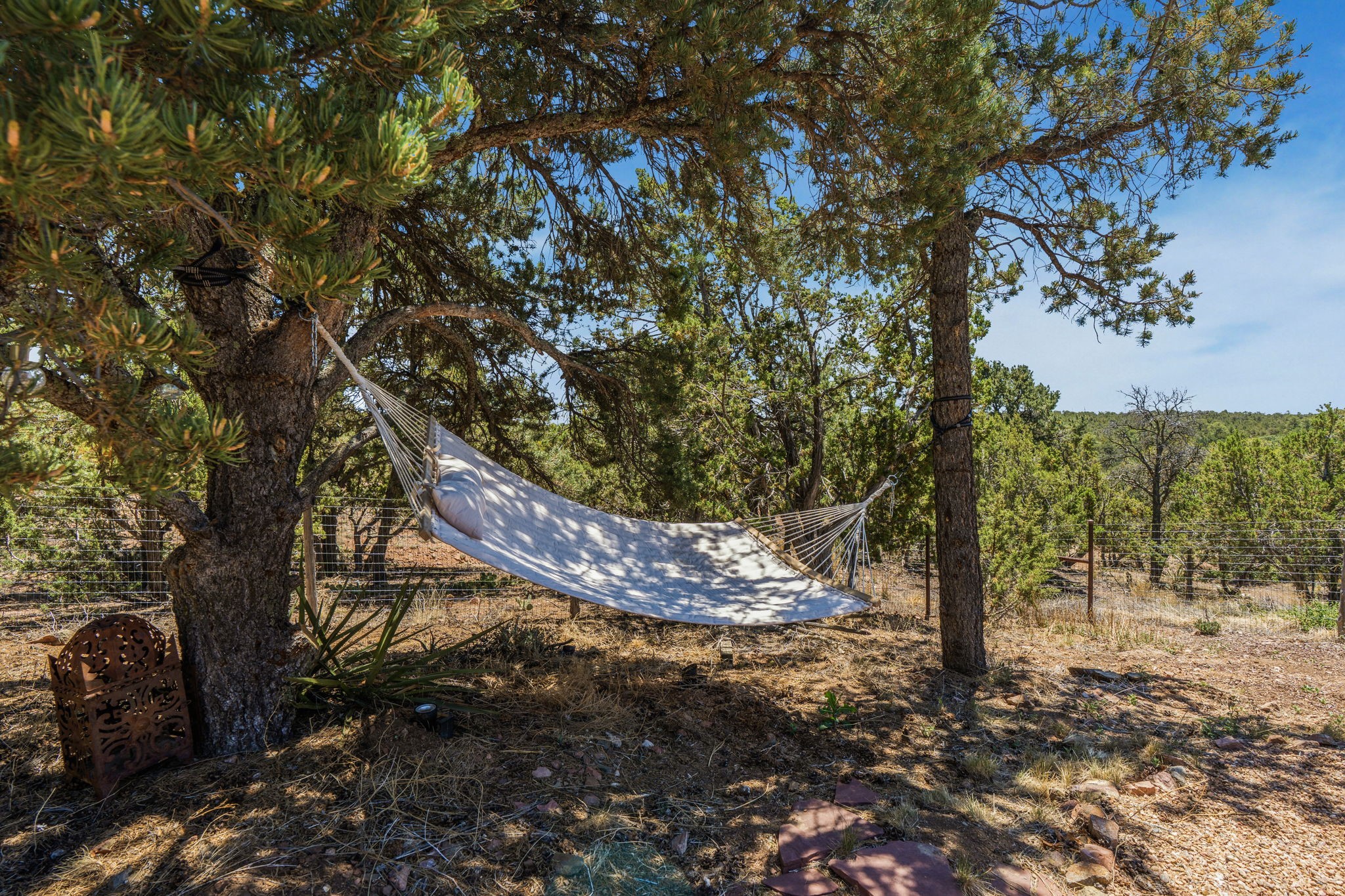 36 San Sebastian Road Santa Fe, NM 87505 - Photo 59 of 60 The Life of Riley