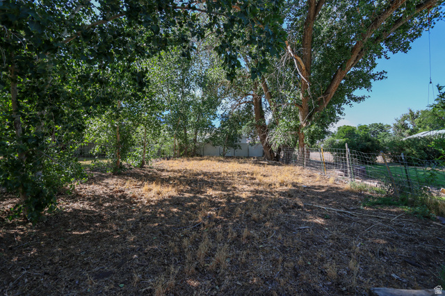 270 East 100 North Monroe, UT 84754 - Photo 60 of 65 Spacious lot featuring mature trees providing ample shade, partially fenced perimeter, and natural ground cover