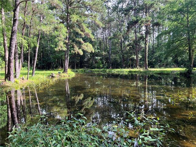 76081 Green Valley Road Folsom, LA 70437 - Photo 5 of 10