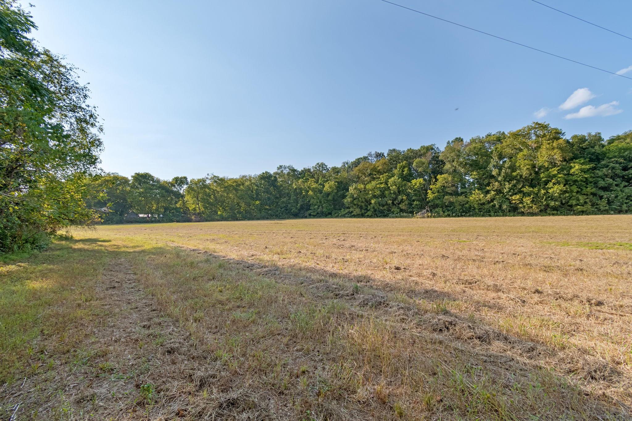 0 Craig Bridge Road Williamsport, TN 38487 - Photo 10 of 21 Gallery Image 10