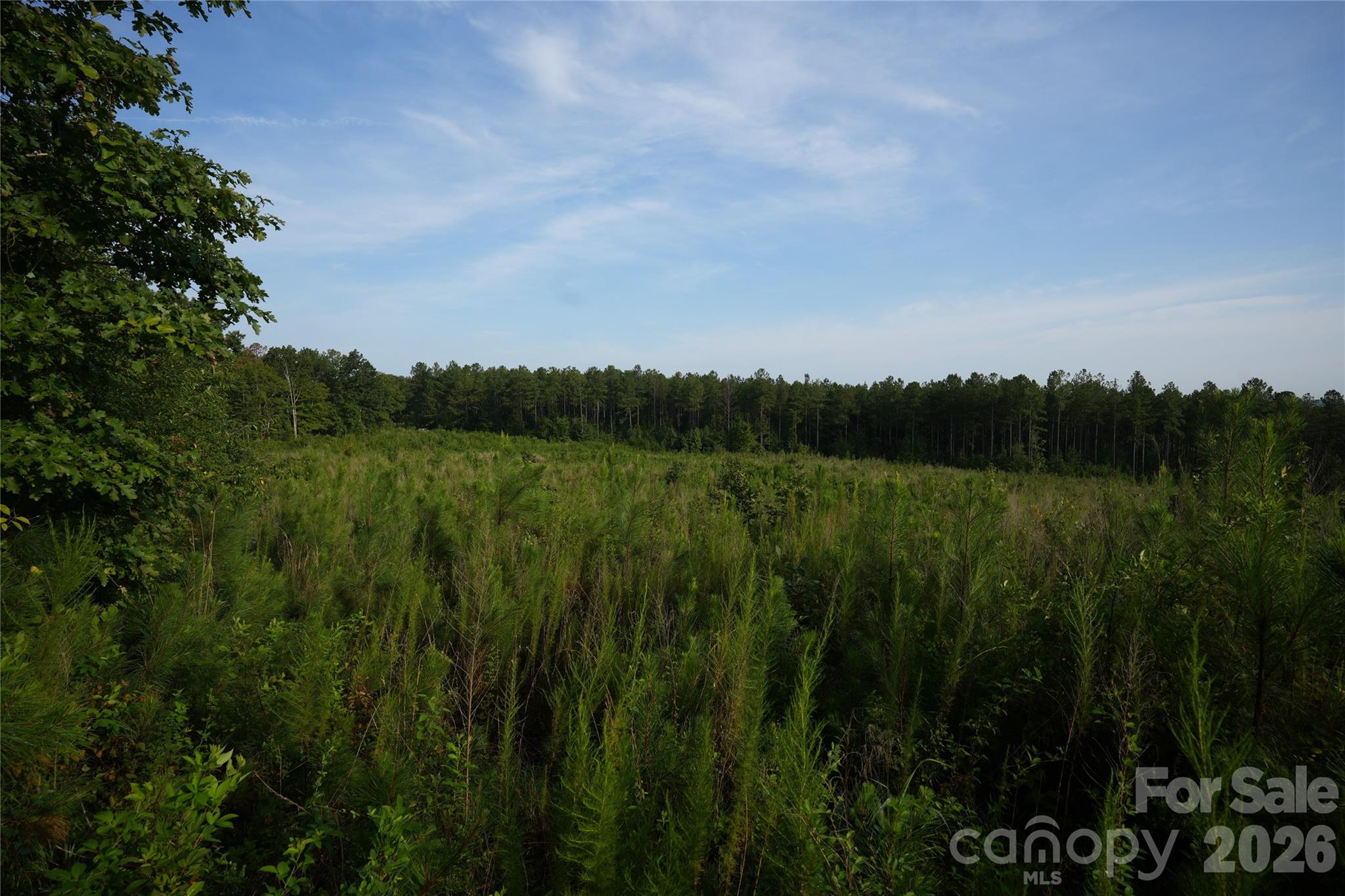 0 Bobby Faucette Road, Unit 4 Jonesville, SC 29353 - Photo 12 of 21 Gallery Image 12