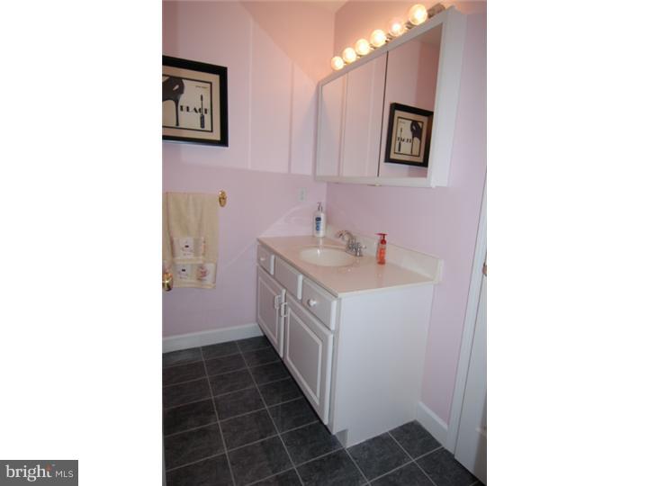 52 Michigan Drive Sinking Spring, PA 19608 - Photo 11 of 20 Master Bathroom