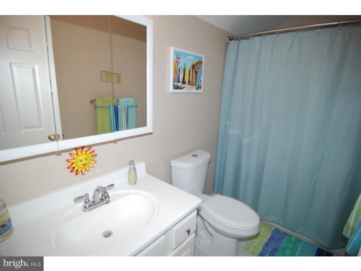 52 Michigan Drive Sinking Spring, PA 19608 - Photo 14 of 20 Bathroom
