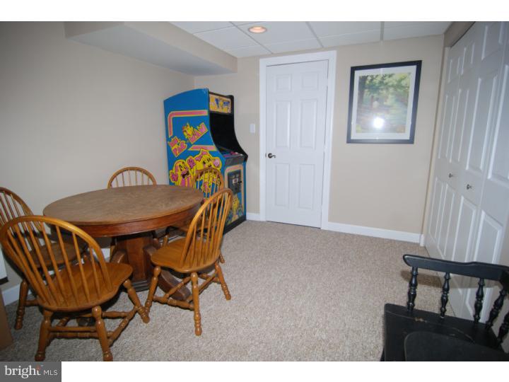 52 Michigan Drive Sinking Spring, PA 19608 - Photo 15 of 20 Basement - Finished
