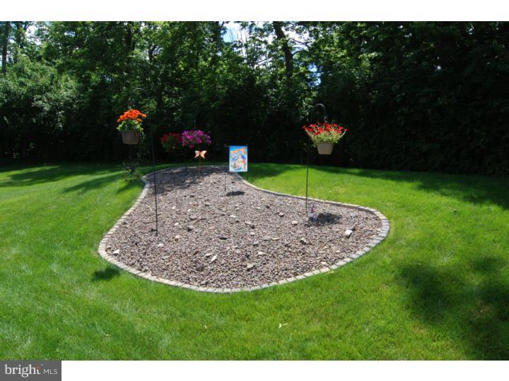 52 Michigan Drive Sinking Spring, PA 19608 - Photo 20 of 20 Back Yard