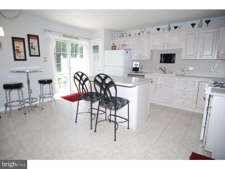 52 Michigan Drive Sinking Spring, PA 19608 - Photo 8 of 20 Kitchen