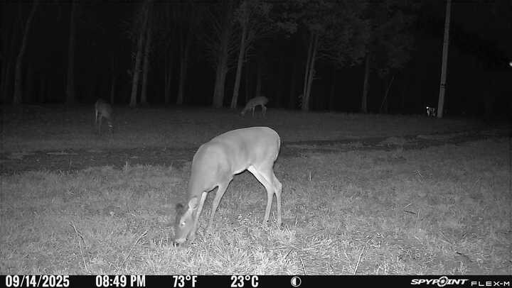 0 Atkinson Road Lebanon, TN 37090 - Photo 16 of 35 Gallery Image 16