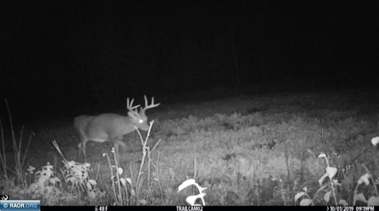 Tbd Mud Hole Road Side Lake, MN 55781 - Photo 17 of 24