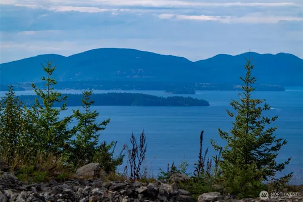a view of a lake with a mountain in the background