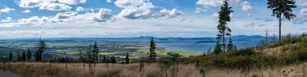 a view of a lake from a yard