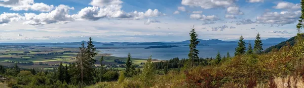 a view of a yard in a field of a house