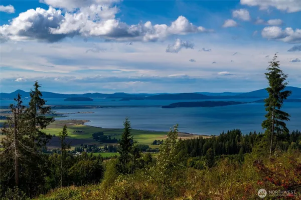 a view of a lake in middle of forest