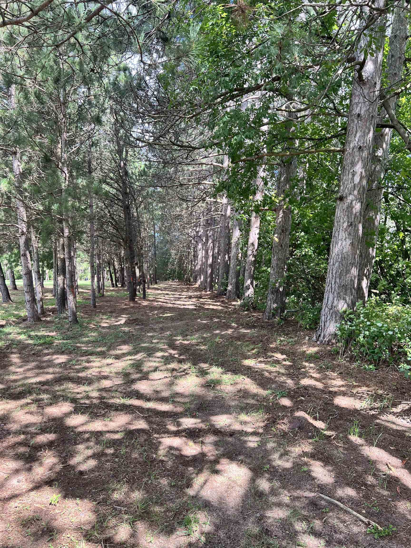 E East 32nd Road Cadillac, MI 49601 - Photo 12 of 12