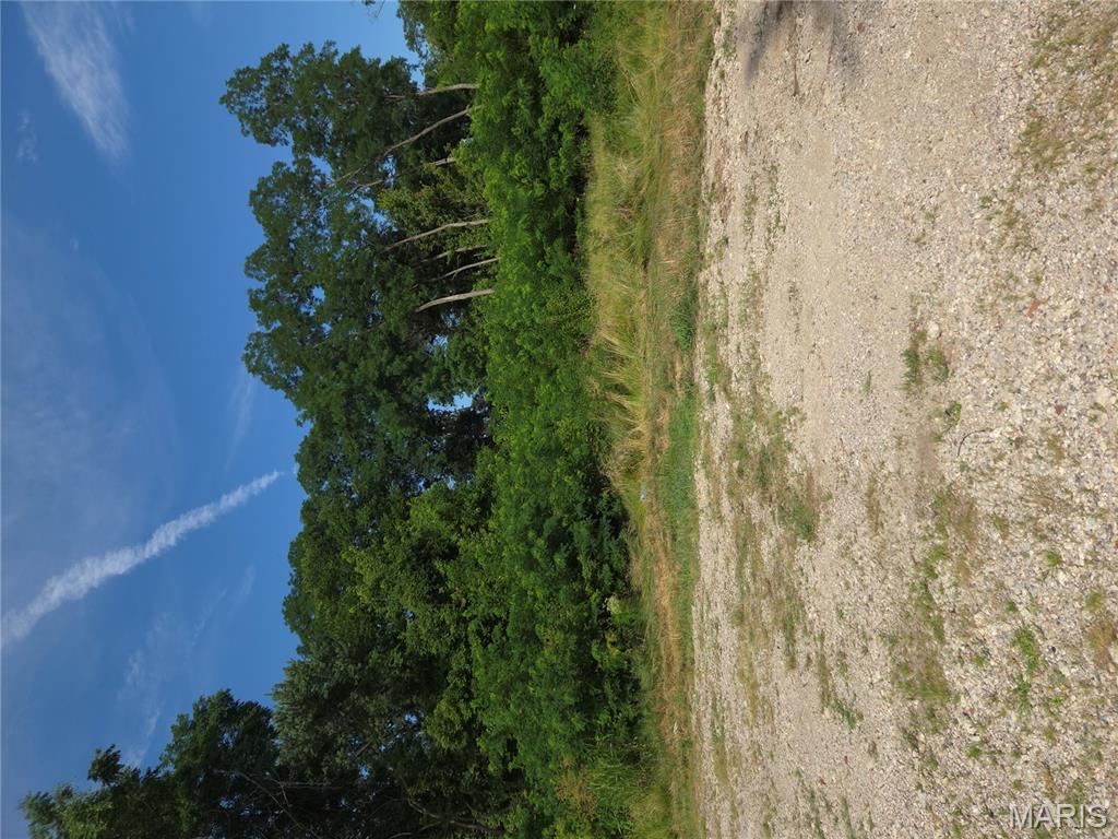 2600 Seminary Street Alton, IL 62002 - Photo 8 of 11