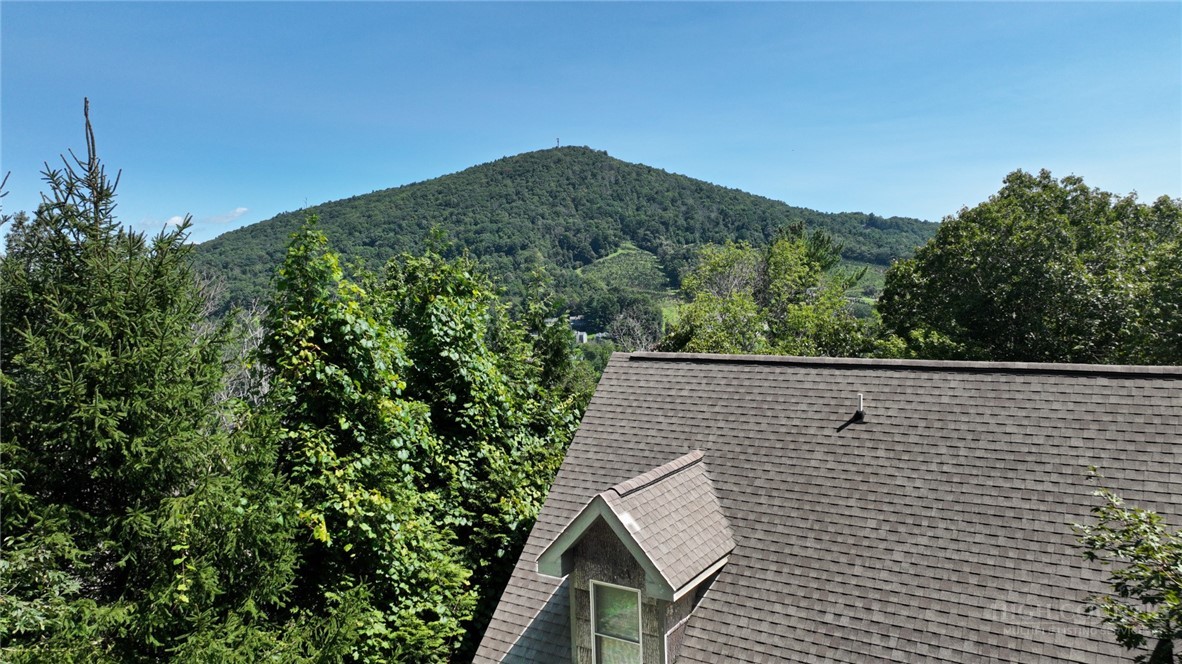 185 Raven View Boone, NC 28607 - Photo 37 of 42 Gallery Image 37
