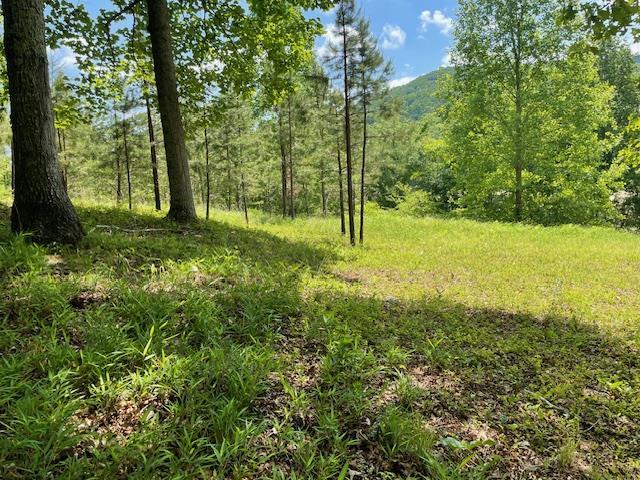 1.65-acs Daves Road Morganton, GA 30560 - Photo 2 of 7 Gallery Image 2