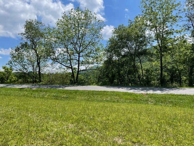 1.65-acs Daves Road Morganton, GA 30560 - Photo 4 of 7 Gallery Image 4