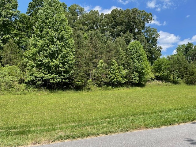 1.65-acs Daves Road Morganton, GA 30560 - Photo 6 of 7 Gallery Image 6