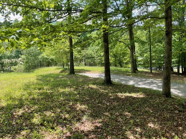 1.65-acs Daves Road Morganton, GA 30560 - Photo 7 of 7 Gallery Image 7