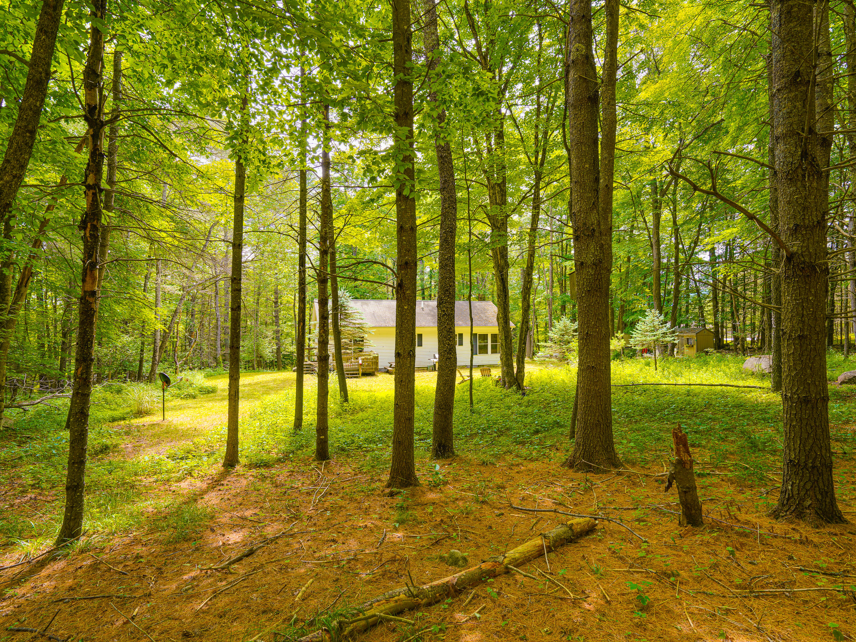 287 Kickerville Road Long Lake, NY 12847 - Photo 26 of 50 Gallery Image 26
