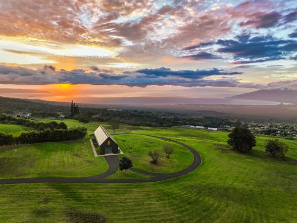 a view of a garden with a lake