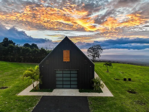 a view of a backyard with plants and a garden