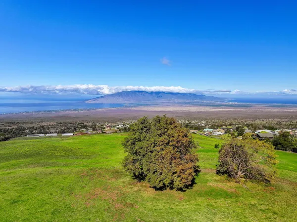a view of a lush green space with a ocean view