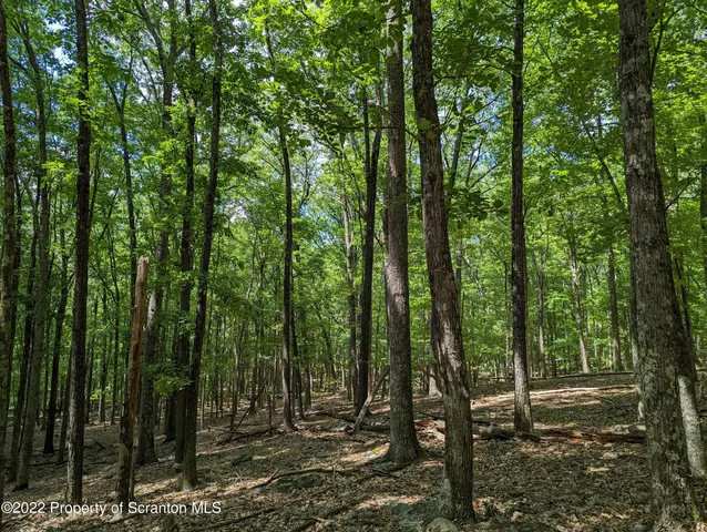 a view of outdoor space and covered with trees