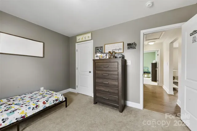 a bedroom with bed and walk in closet