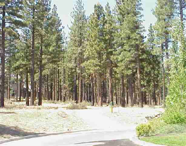 Lot403 Breithorn Circle Reno, NV 89511 - Photo 1 of 1 Gallery Image 1