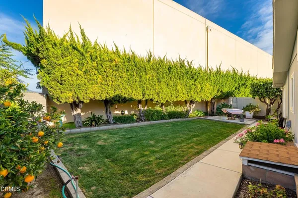 a view of a back yard