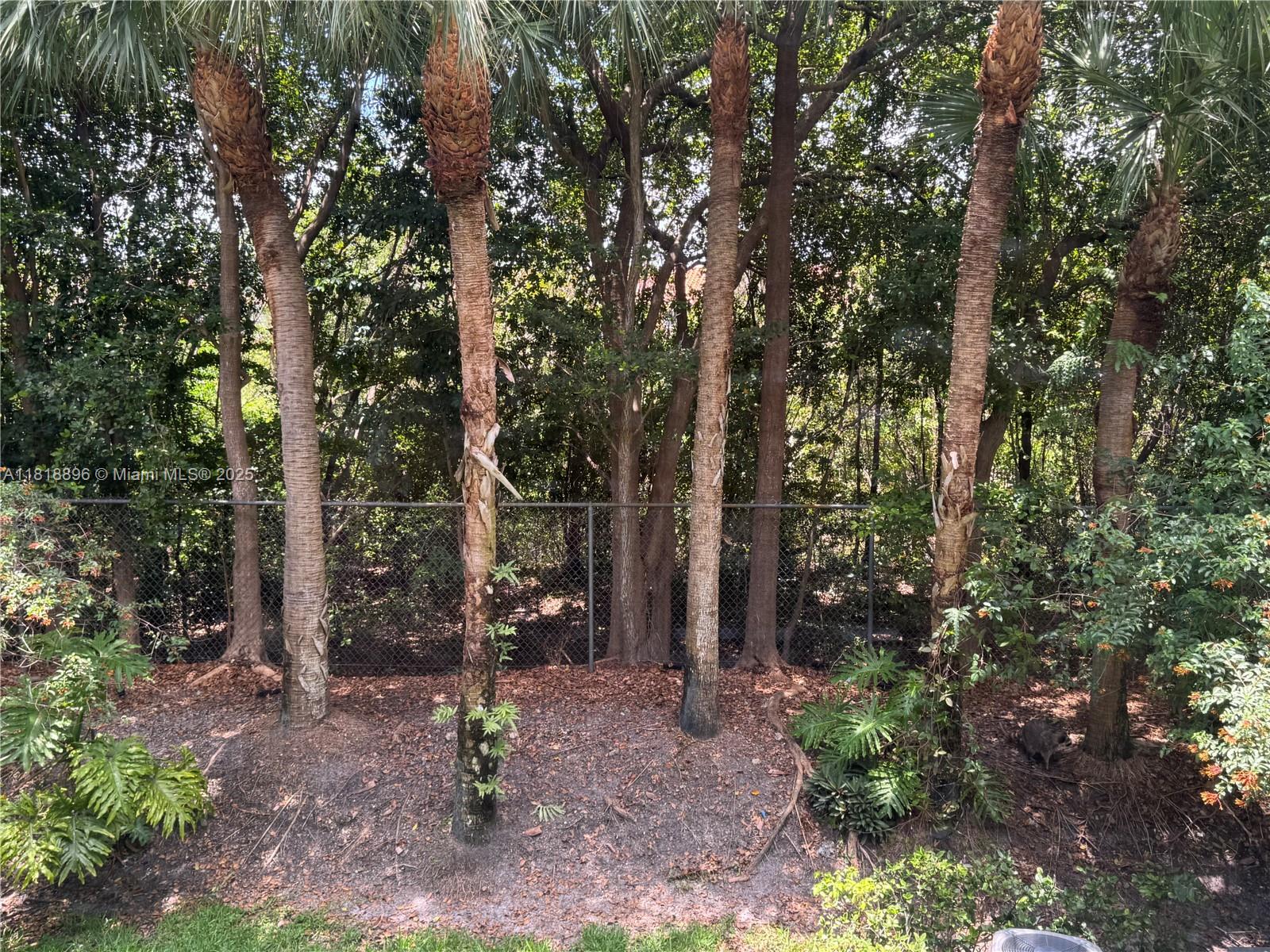800 Southwest 142nd Avenue, Unit 211N Pembroke Pines, FL 33027 - Photo 23 of 28 a view of outdoor space and garden