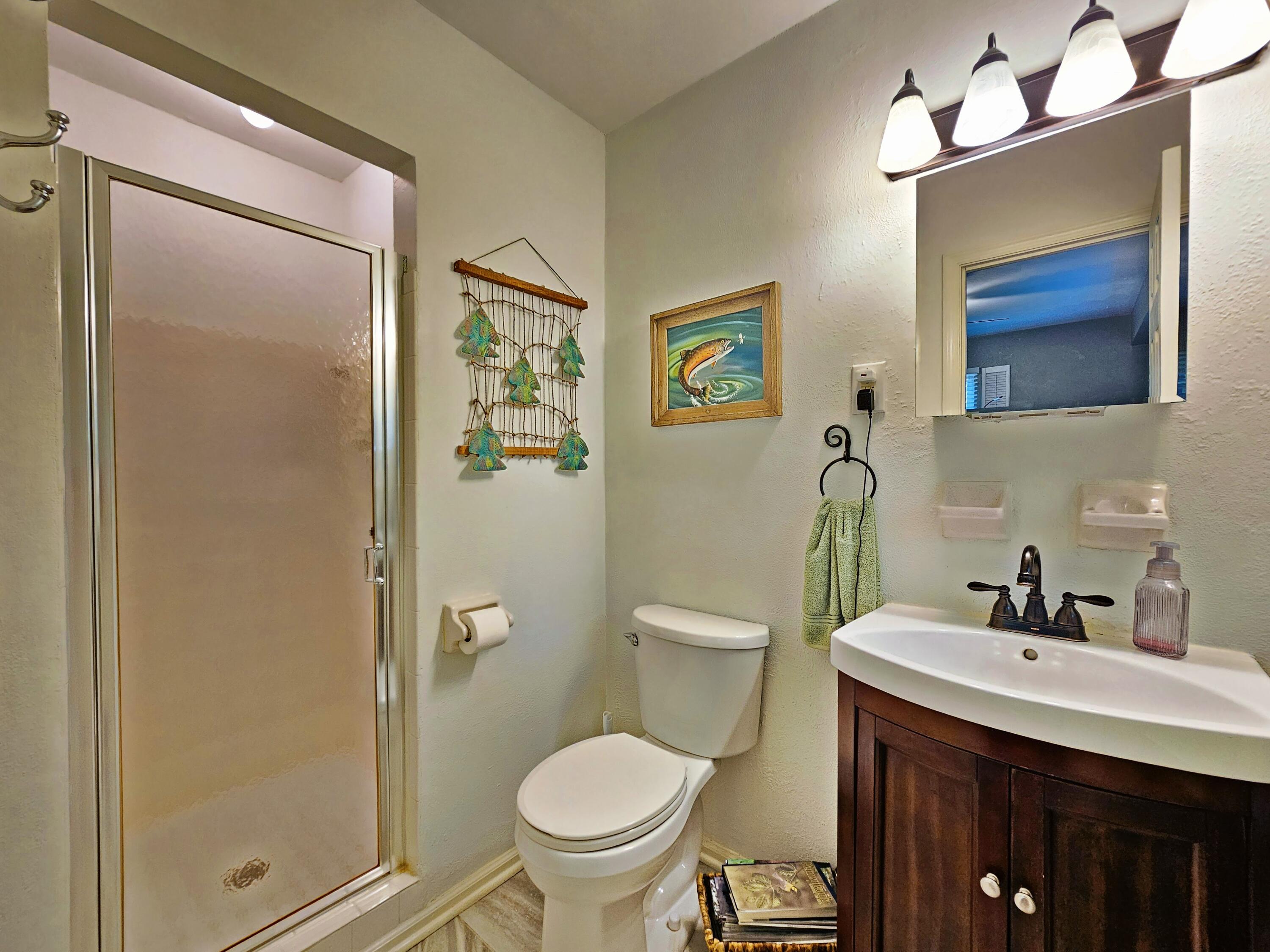 593 Sherwood Drive Blue Ridge, VA 24064 - Photo 14 of 26 Master Bath