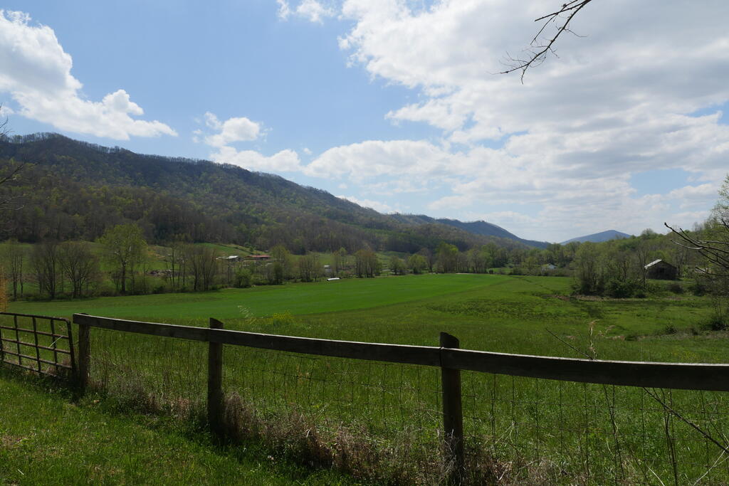 4020 Freestone Valley Road Tannersville, VA 24377 - Photo 11 of 109 Gallery Image 11