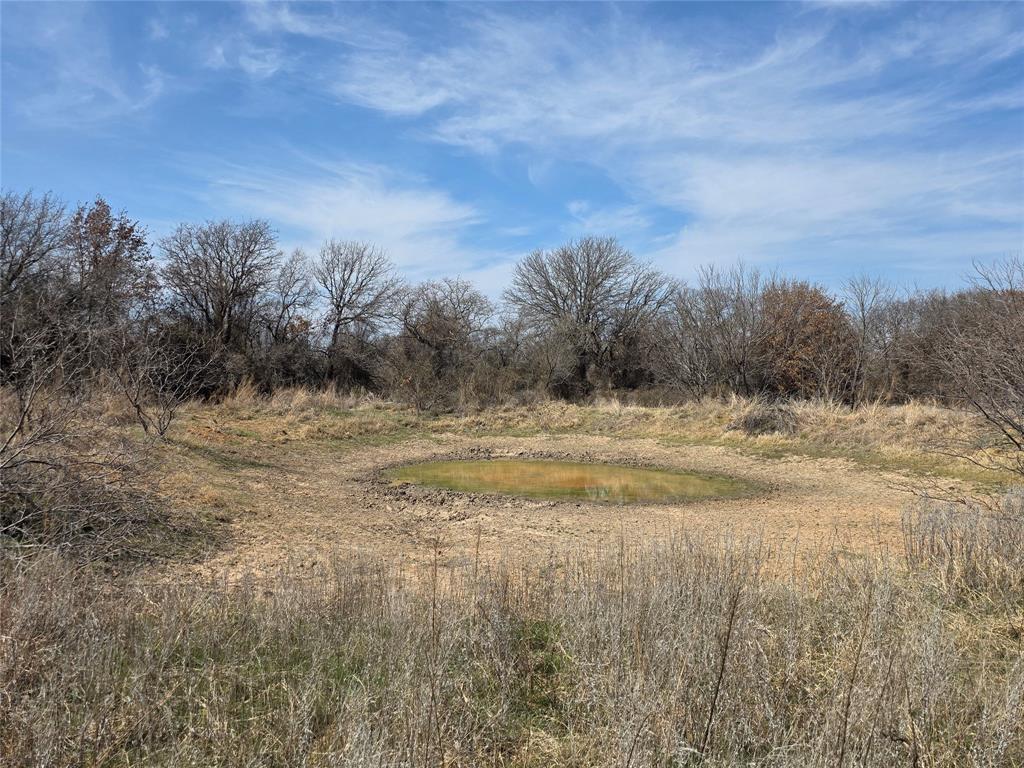 1000 County Road 375 Rising Star, TX 76471 - Photo 11 of 40 a view of dirt field with trees in the background