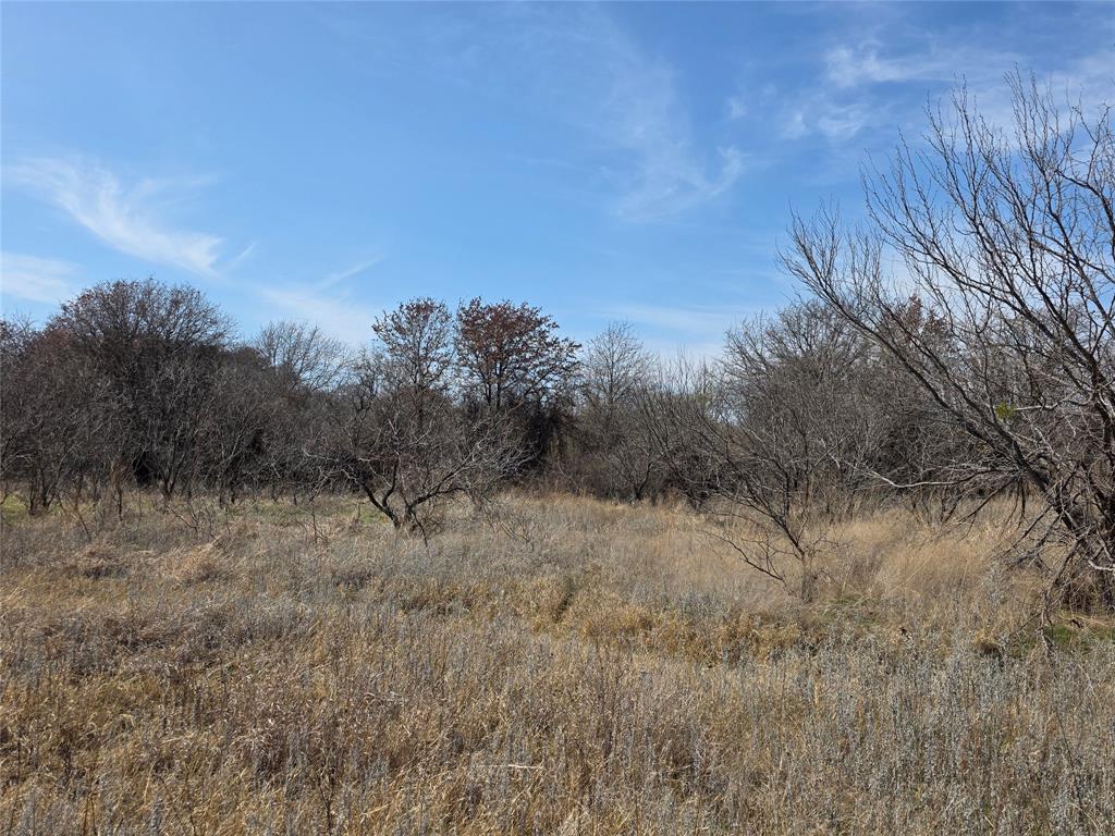 1000 County Road 375 Rising Star, TX 76471 - Photo 12 of 40 a view of a dry field