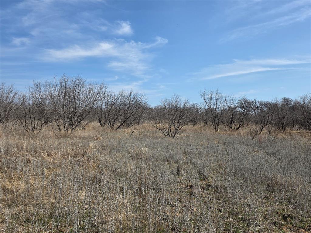 1000 County Road 375 Rising Star, TX 76471 - Photo 13 of 40 a view of a field and trees