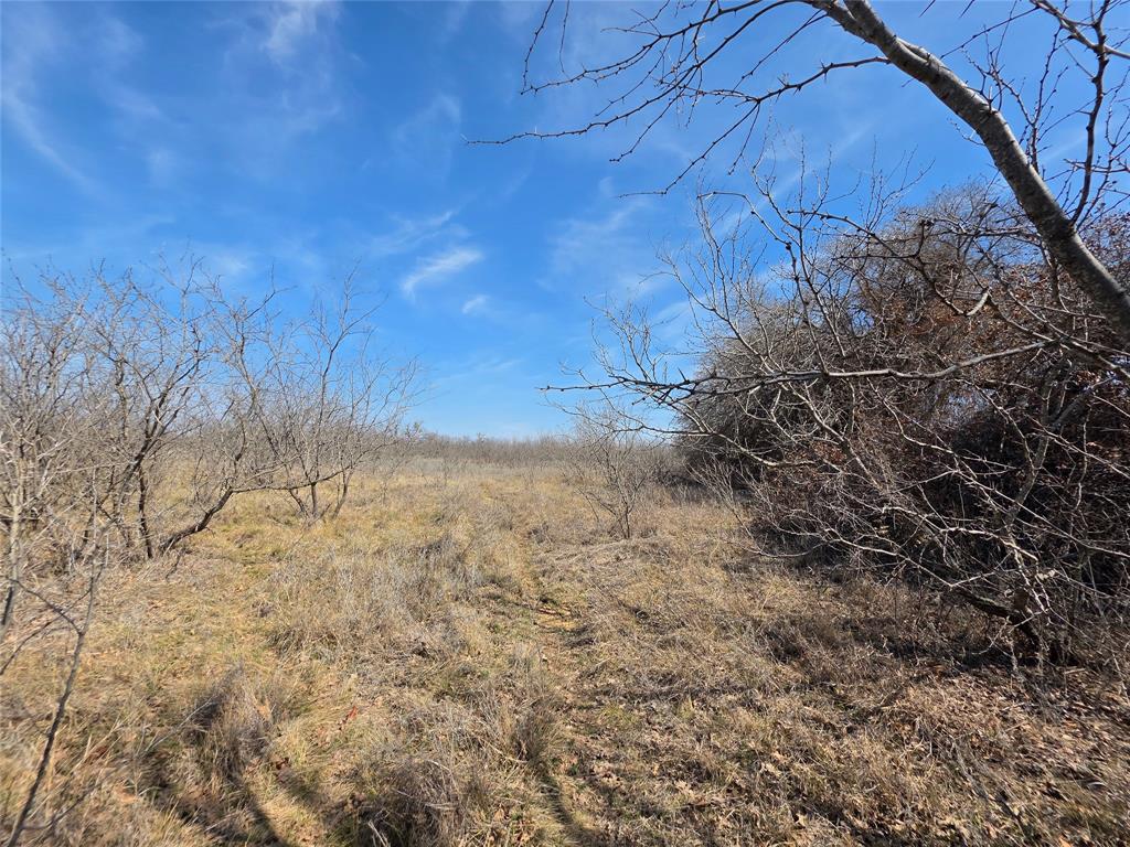 1000 County Road 375 Rising Star, TX 76471 - Photo 14 of 40