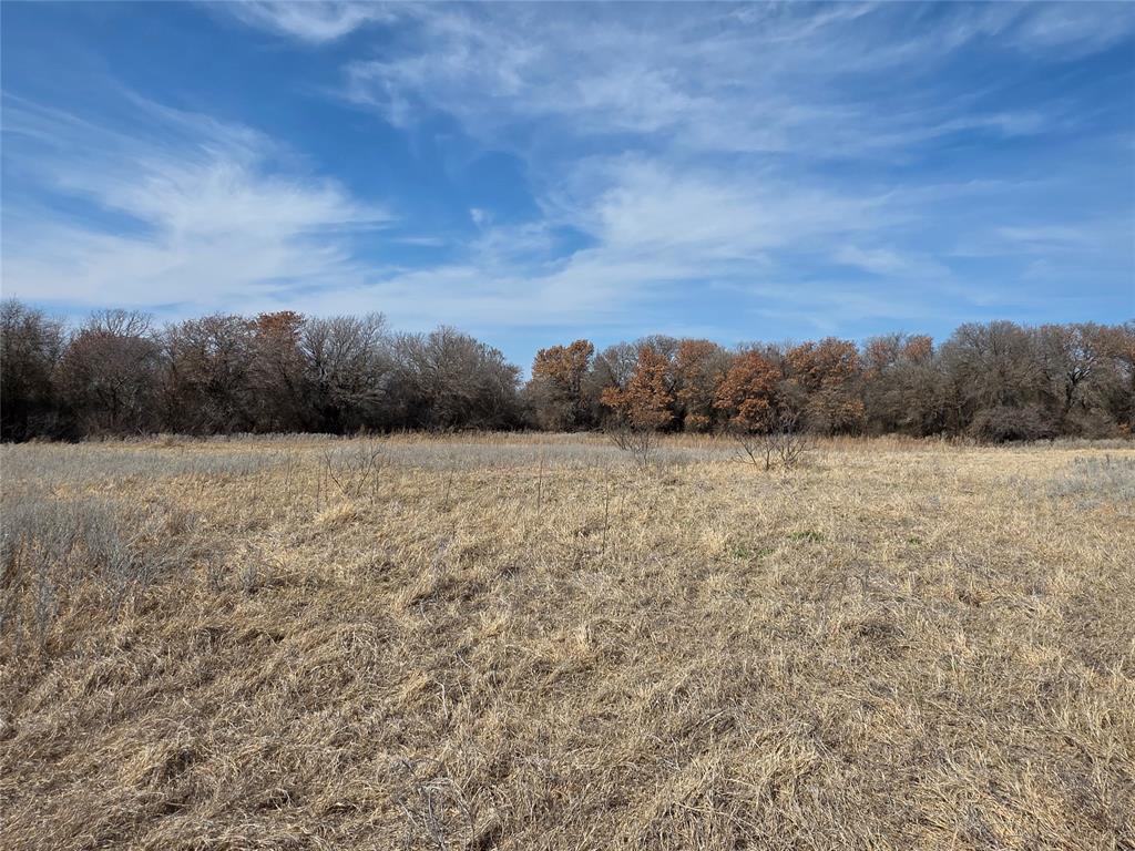 1000 County Road 375 Rising Star, TX 76471 - Photo 15 of 40 a view of a field with trees in the background
