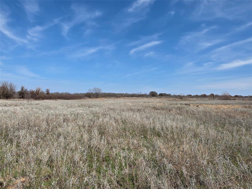 1000 County Road 375 Rising Star, TX 76471 - Photo 17 of 40 a view of lake and mountain