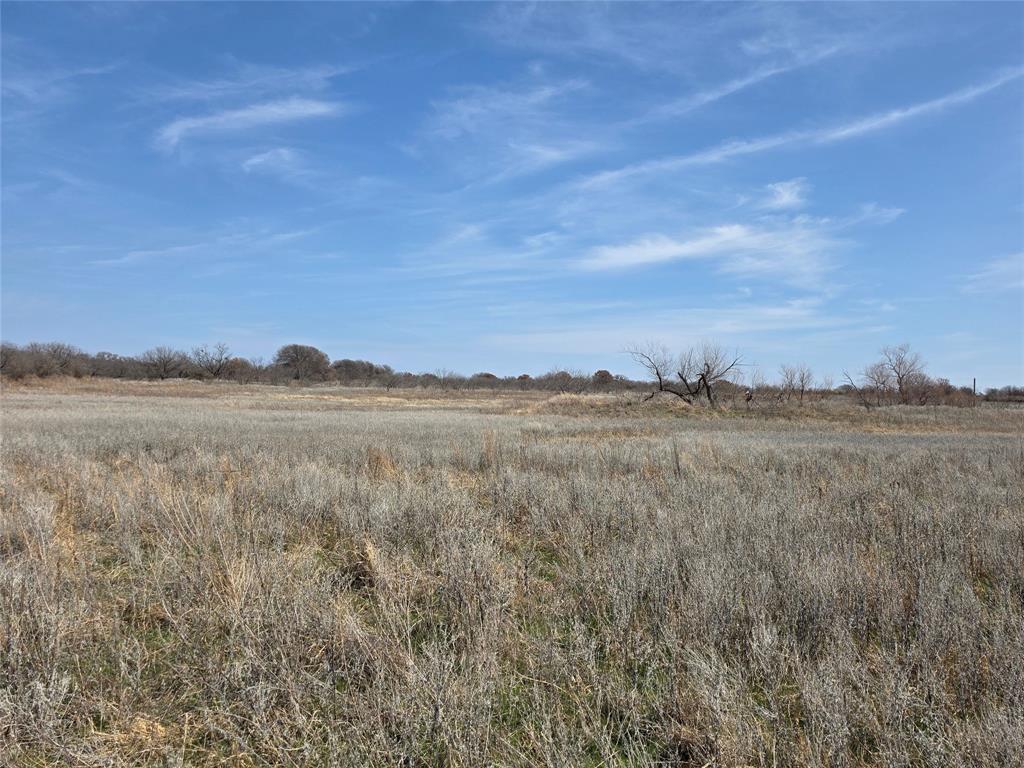 1000 County Road 375 Rising Star, TX 76471 - Photo 18 of 40 a view of lake and mountain