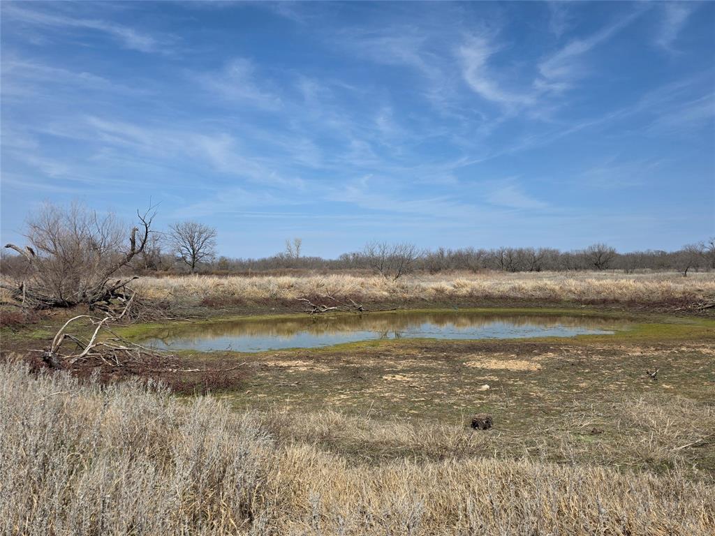 1000 County Road 375 Rising Star, TX 76471 - Photo 19 of 40 a view of lake view and mountain